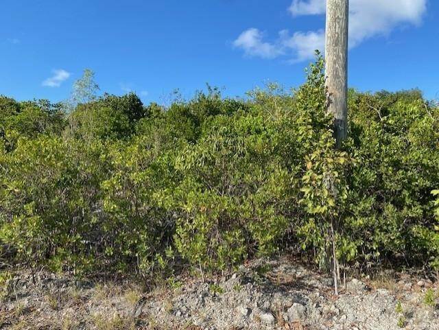 2. Lots / Acreage for Sale at Other Cat Island, Cat Island, Bahamas