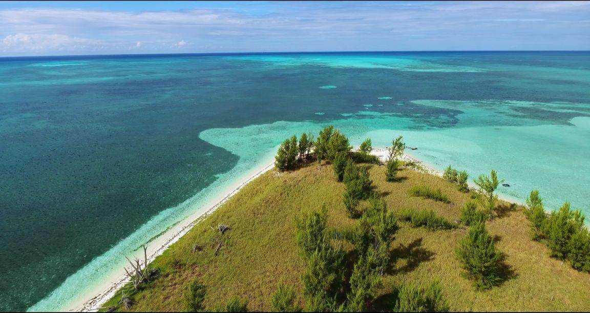 8. Private Islands für Verkauf beim West End, Grand Bahama/Freeport, Bahamas