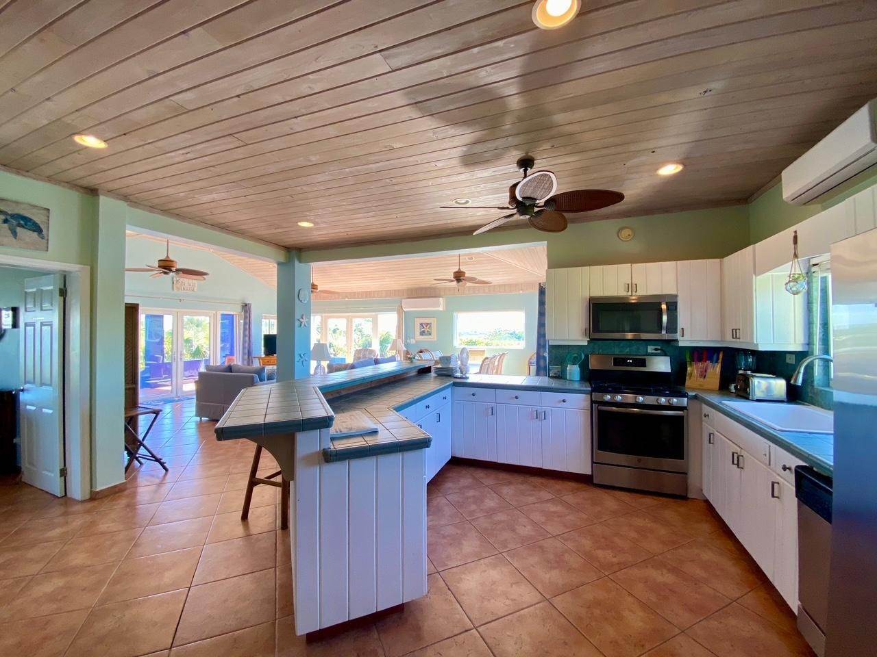 10. Single Family Homes for Sale at North Palmetto Point, Palmetto Point, Eleuthera, Bahamas
