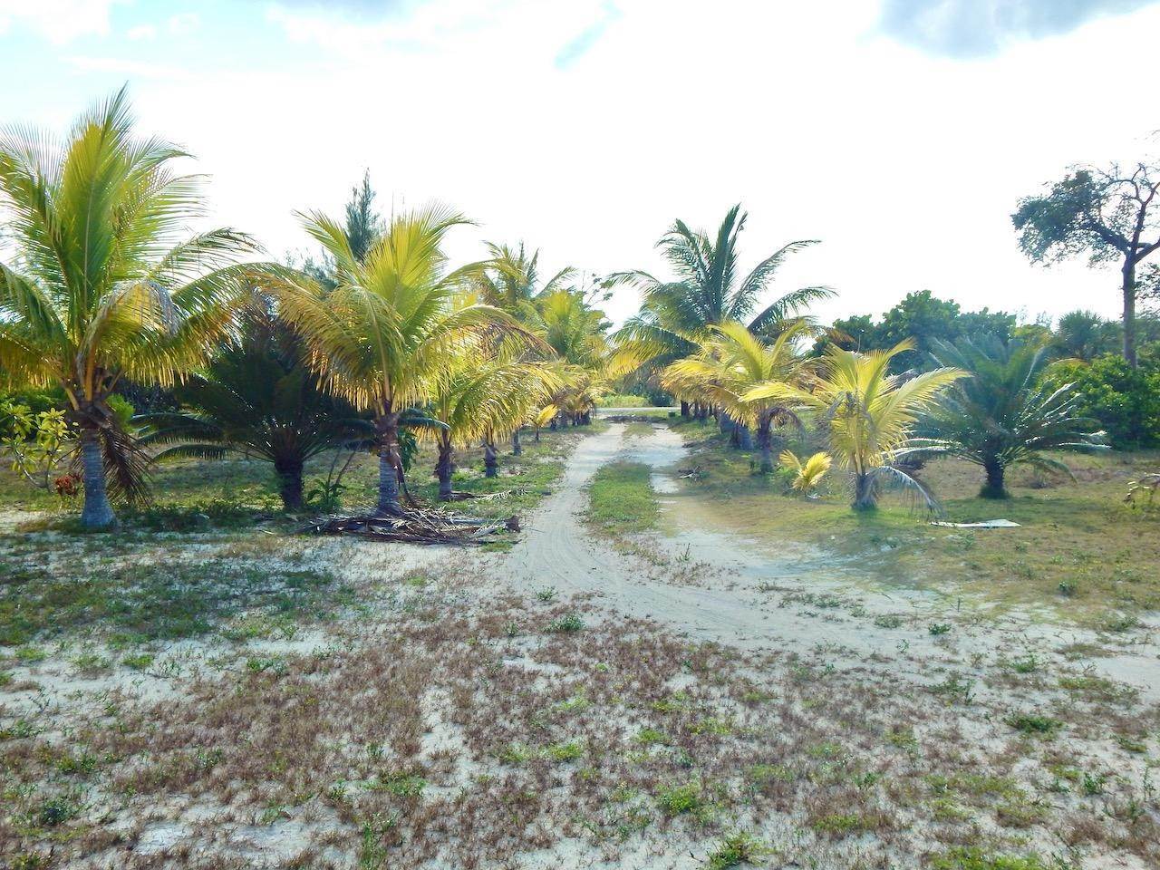 12. Single Family Homes for Sale at Staniard Creek, Andros, Bahamas