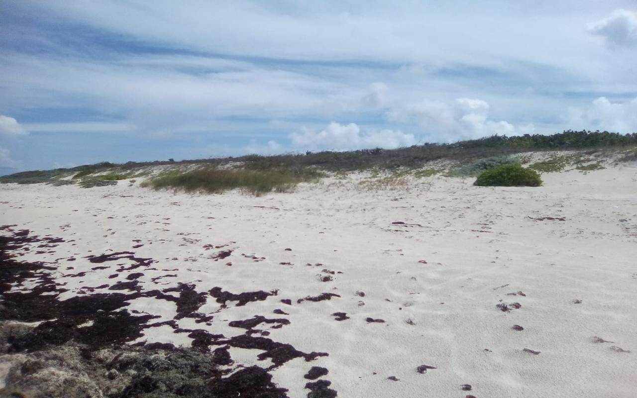 12. Lots / Acreage for Sale at Other Long Island, Long Island, Bahamas