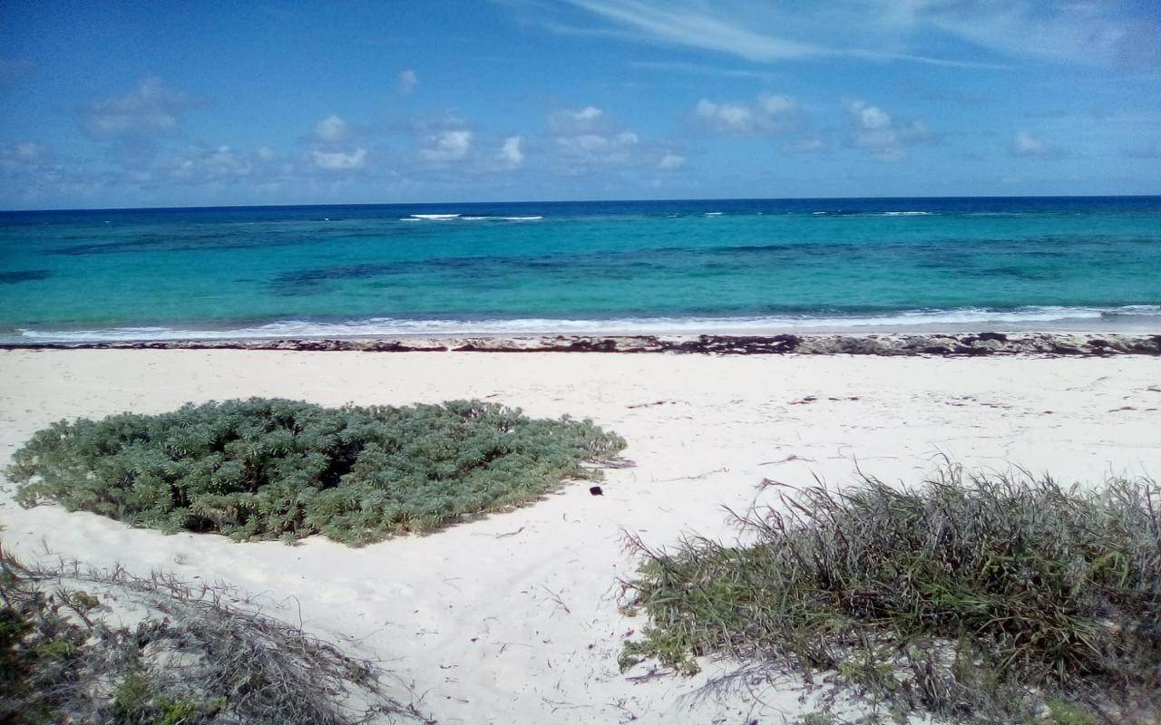 19. Lots / Acreage for Sale at Other Long Island, Long Island, Bahamas