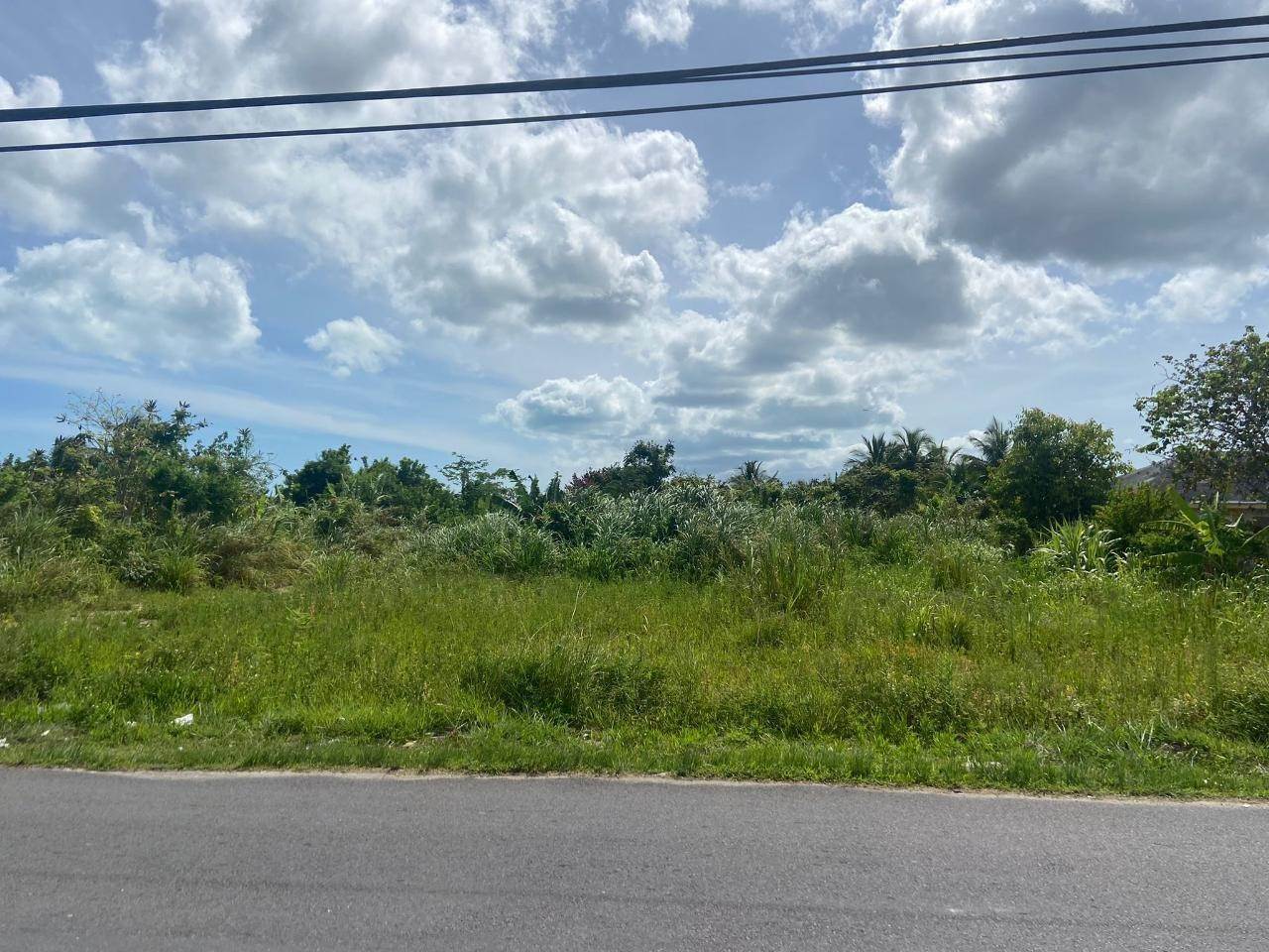 Lots / Acreage pour l Vente à Carmichael Road, New Providence/Nassau, Bahamas