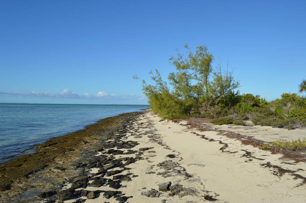 12. Private Islands for Sale at Berry Islands, Bahamas