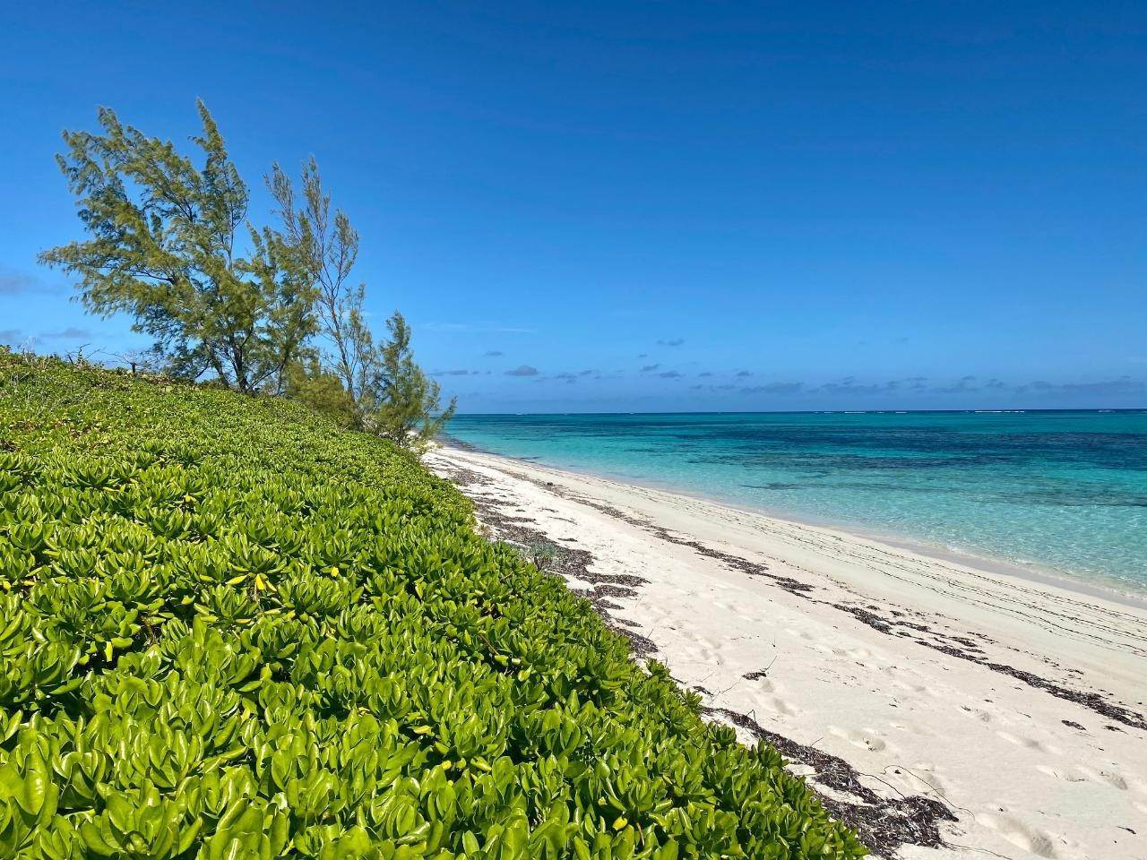 12. Lots / Acreage for Sale at Old Bight, Cat Island, Bahamas