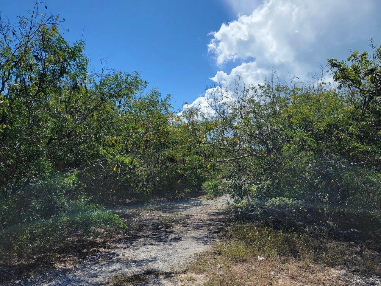 2. Lots / Acreage for Sale at Other Bahamas, Other Areas In The Bahamas, Bahamas