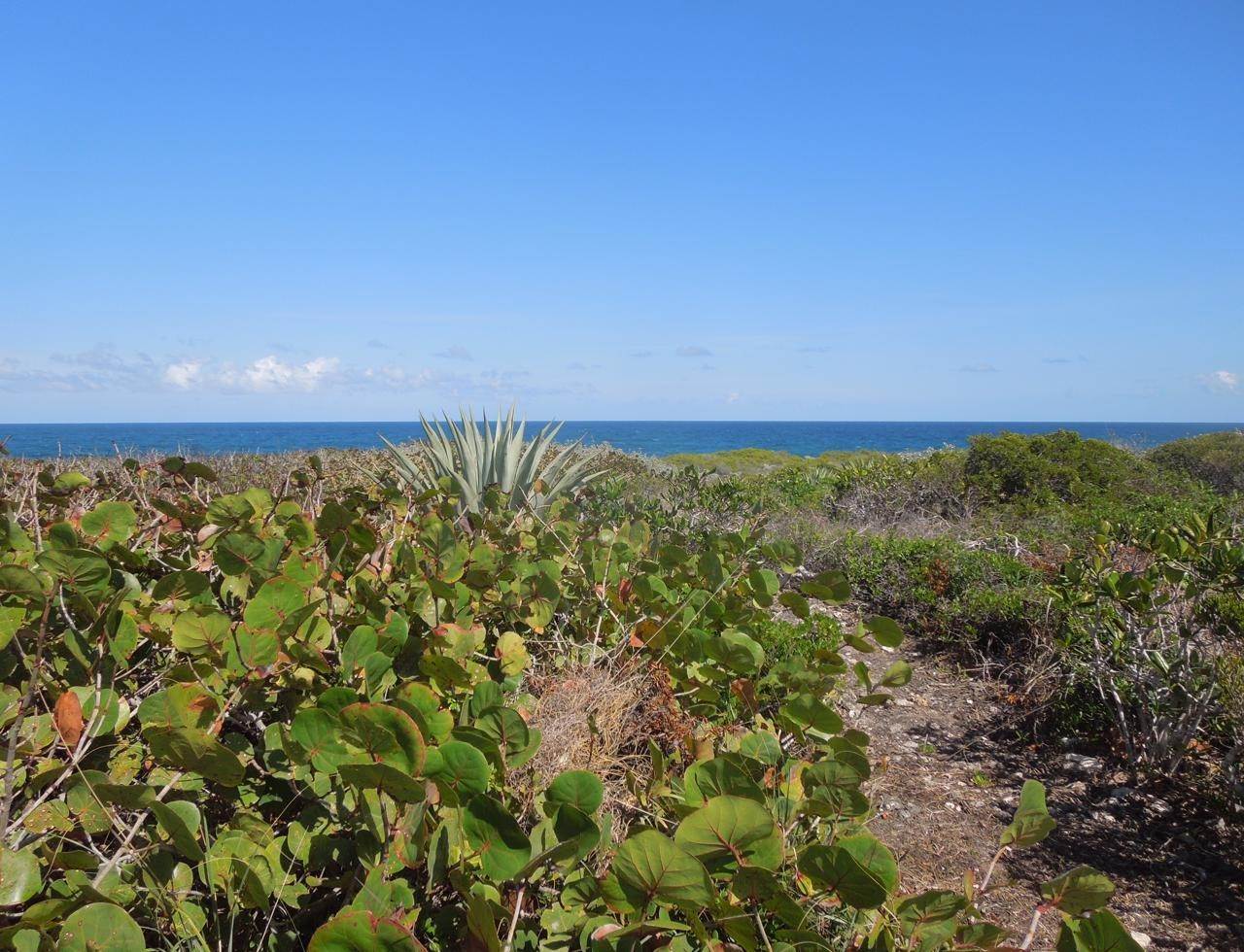 2. Lots / Acreage for Sale at Whale Point, Eleuthera, Bahamas