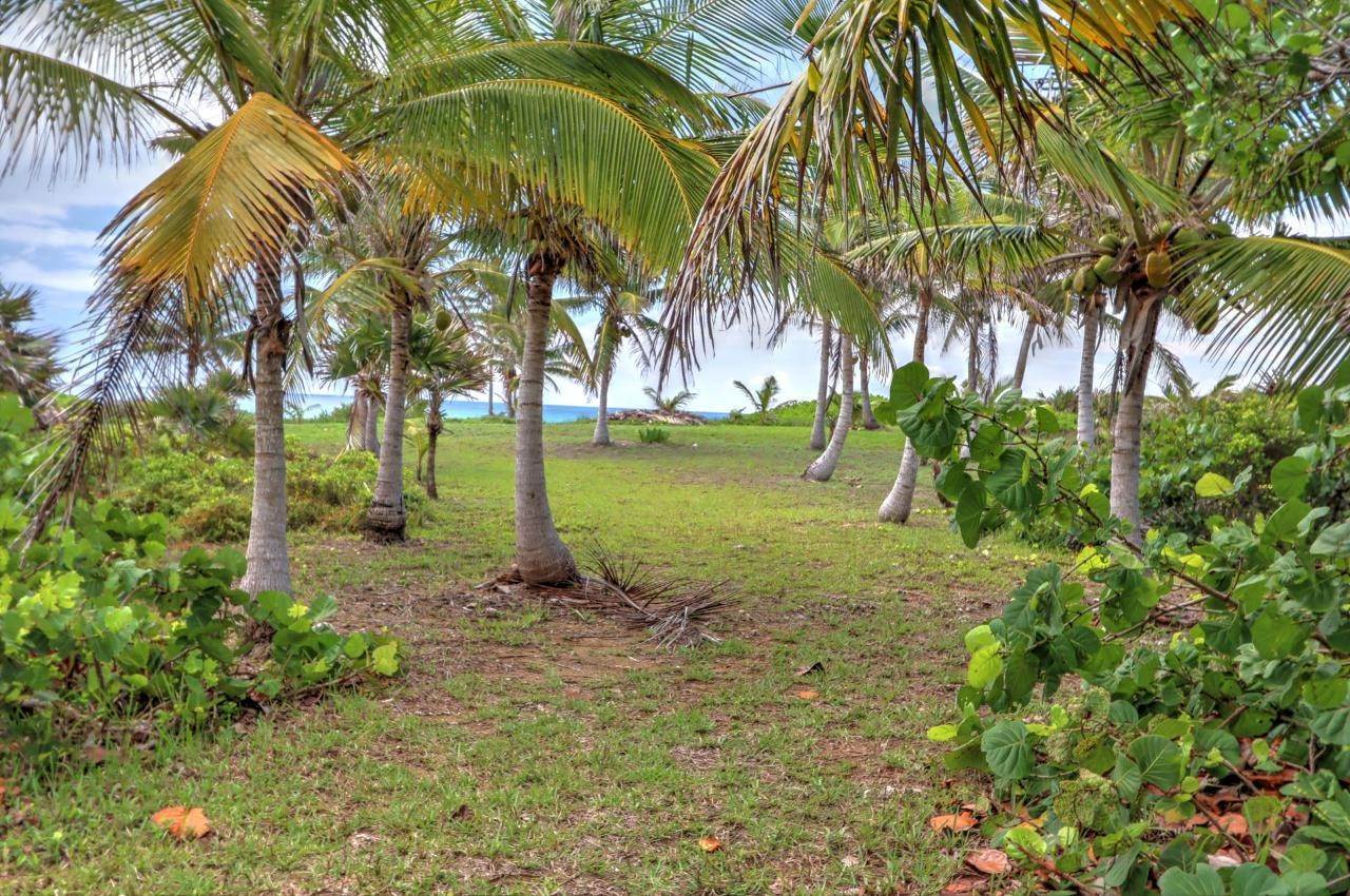 11. Single Family Homes for Sale at Little Harbour, Abaco, Bahamas