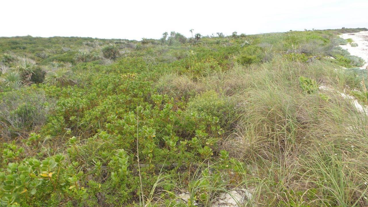 12. Private Islands for Sale at Other Abaco, Abaco, Bahamas