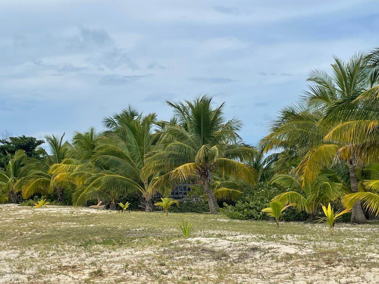 8. Single Family Homes for Sale at Green Turtle Cay, Abaco, Bahamas