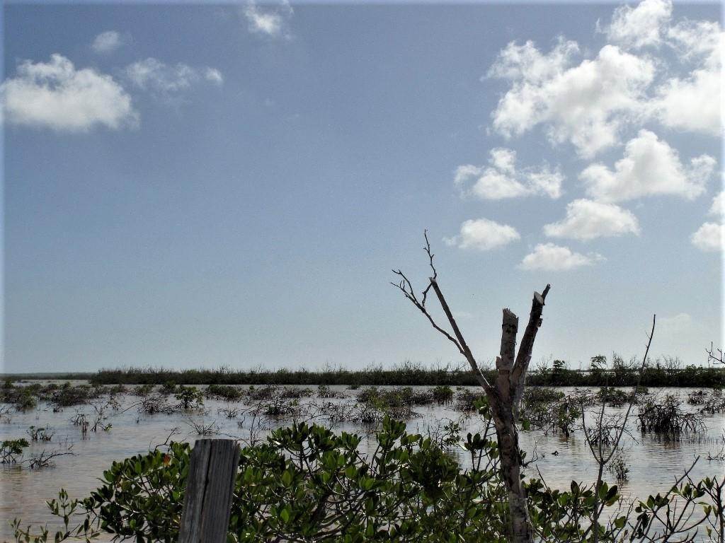 13. Lots / Acreage for Sale at Other Long Island, Long Island, Bahamas