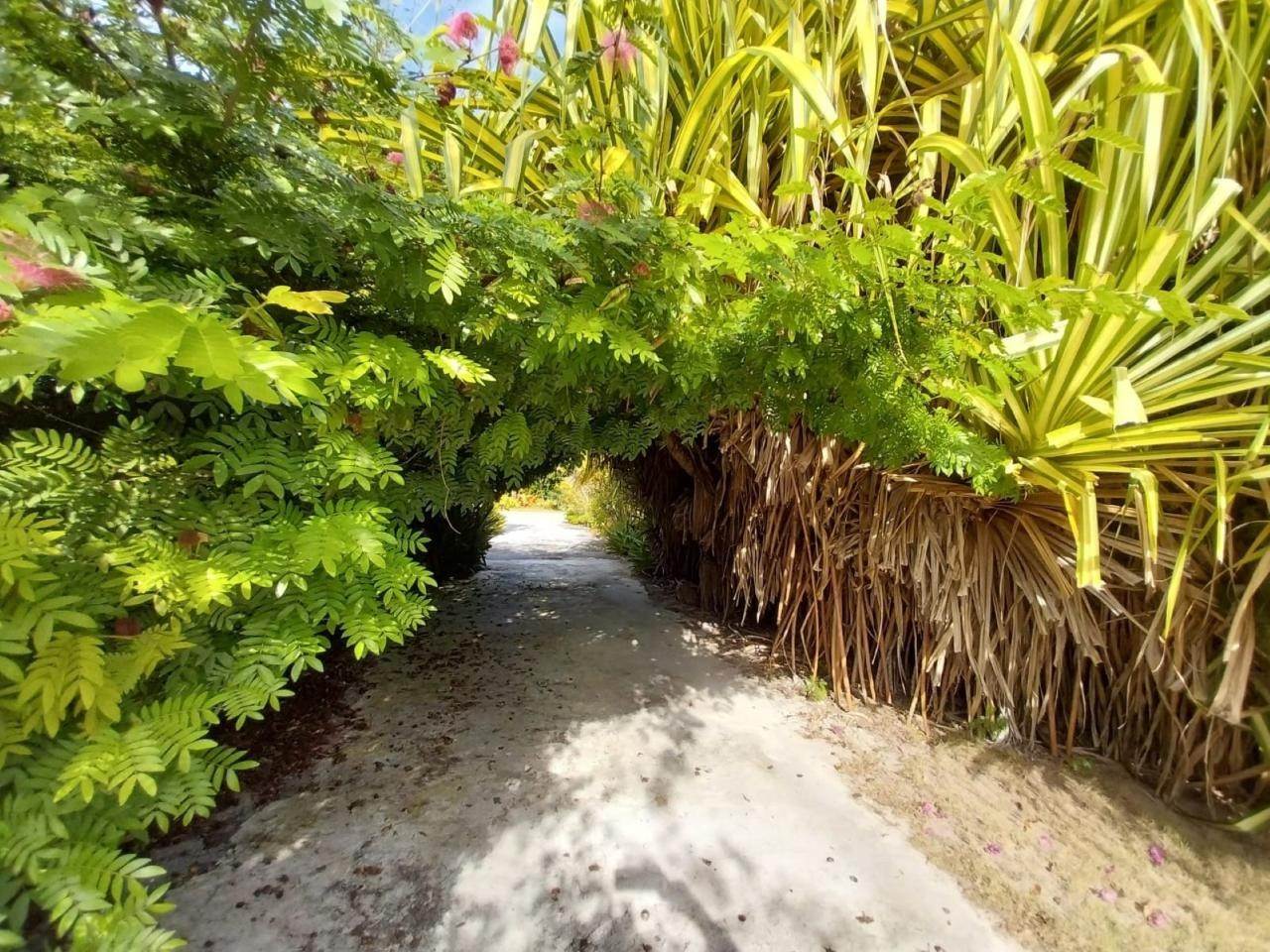 9. Single Family Homes for Sale at Tarpum Bay, Eleuthera, Bahamas