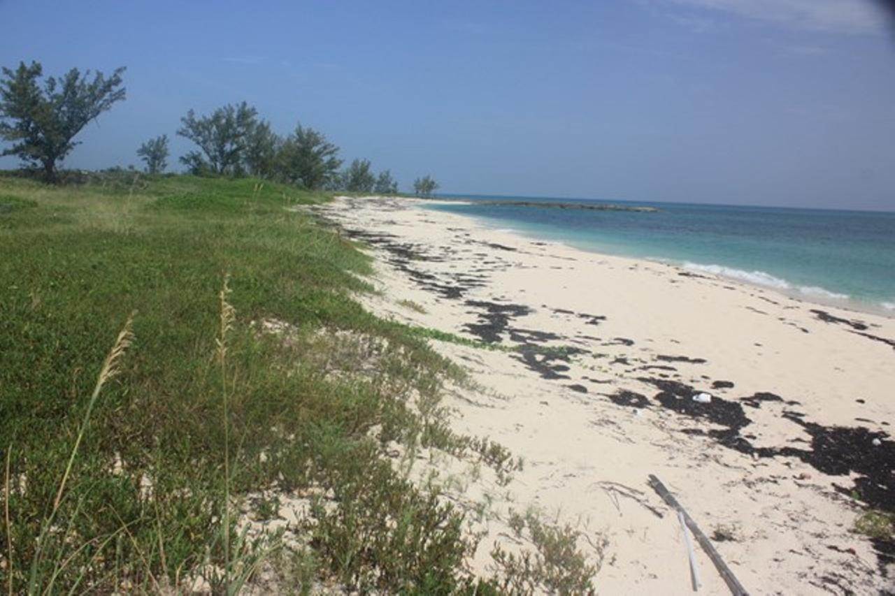 7. Private Islands for Sale at Other Abaco, Abaco, Bahamas