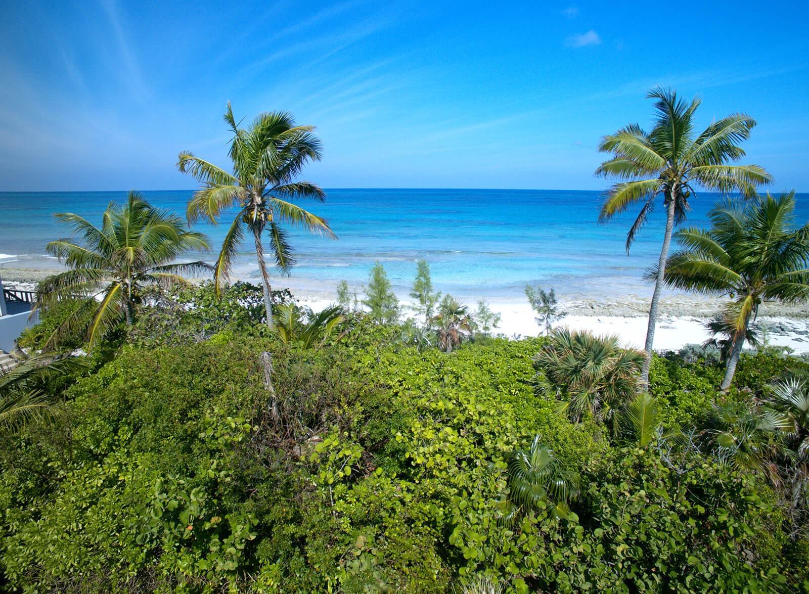 土地,用地 为 销售 在 Nature Lover’s Paradise North Palmetto Point, 帕尔梅托, 伊路瑟拉, 巴哈马