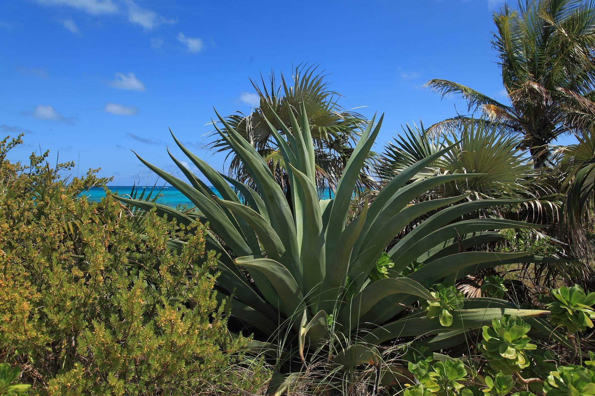 43. Single Family Homes for Sale at For Those Ready For What’s Next Double Bay, Eleuthera, Bahamas