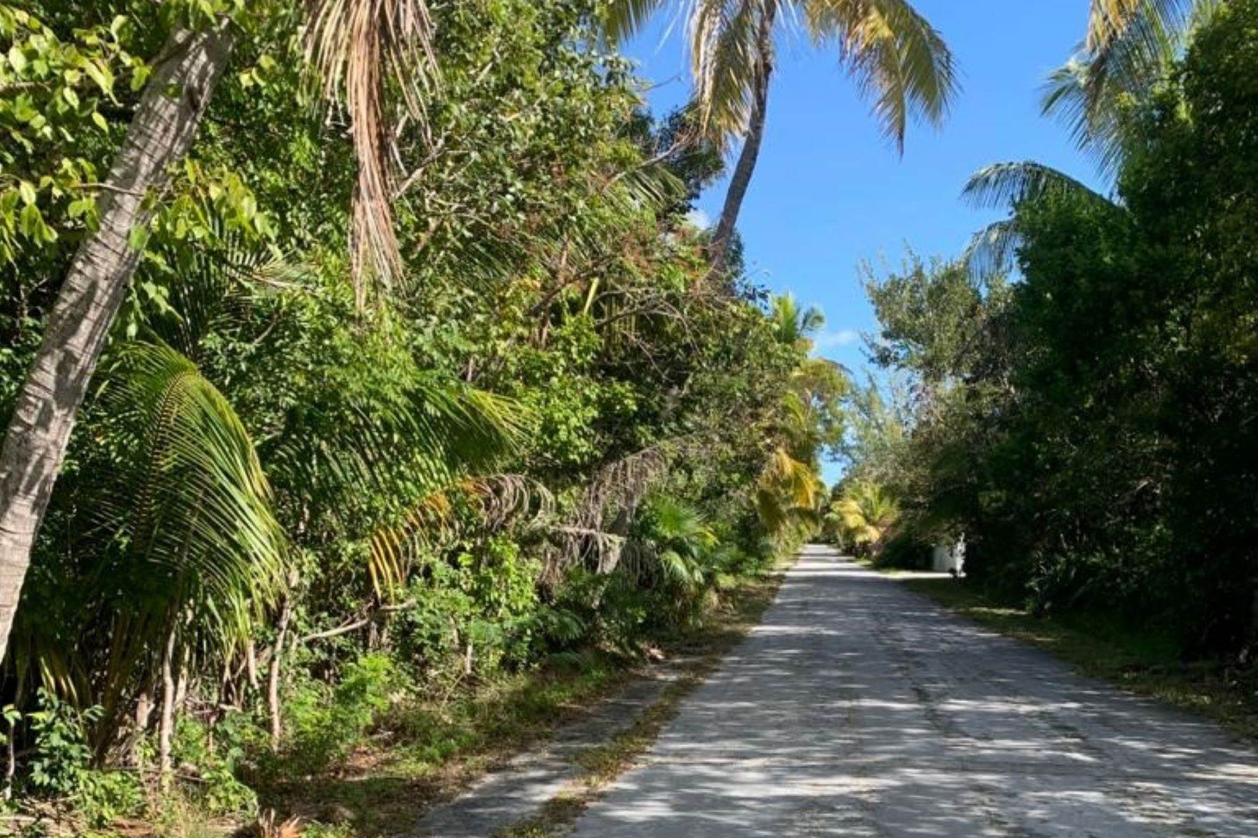 7. Land for Sale at Lot 15, Block B, Section 1, Bahama Palm Shores Bahama Palm Shores, Abaco, Bahamas