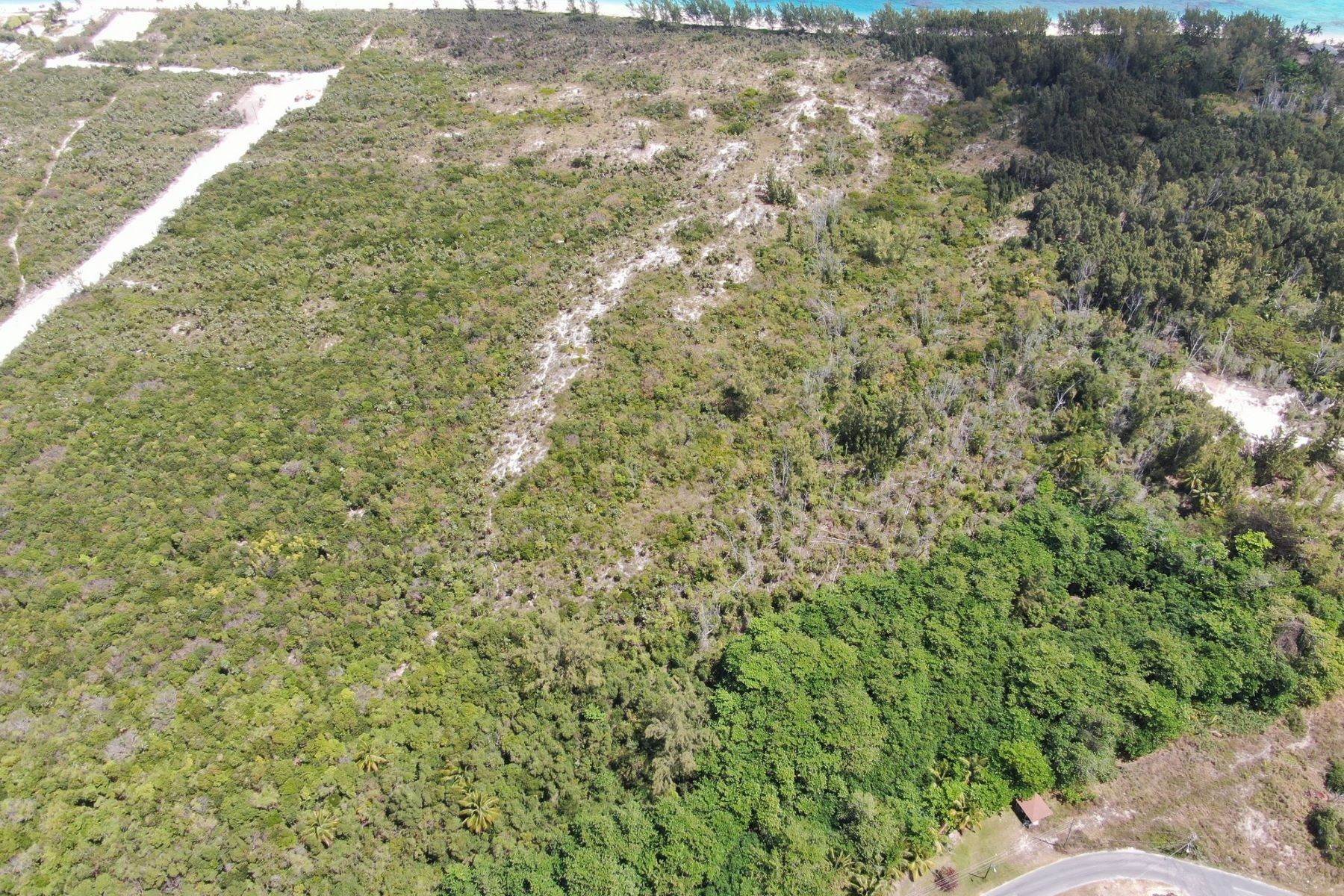 4. Land for Sale at North Palmetto Point, Palmetto Point, Eleuthera, Bahamas