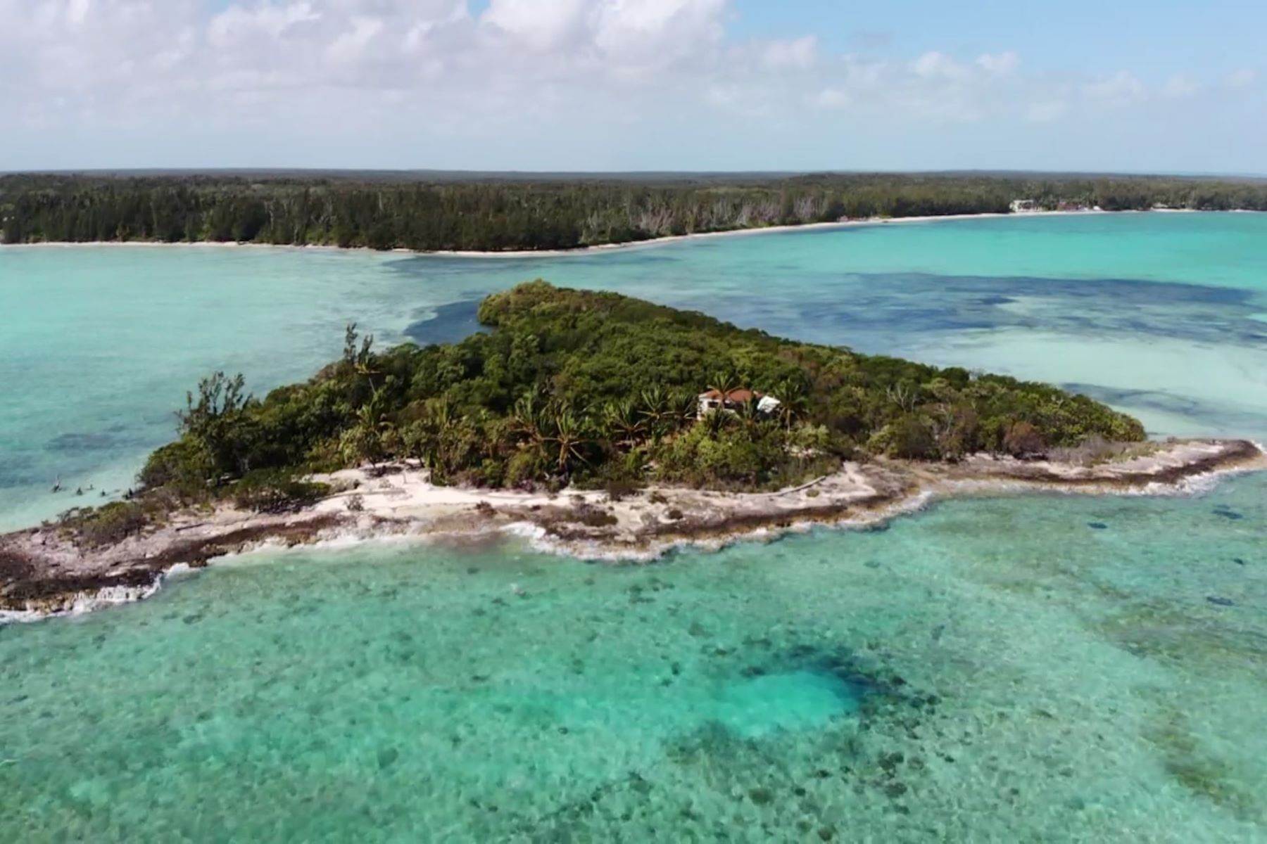 Private Islands 为 销售 在 Swain's Cay, Private Island off Andros Mangrove Cay, 安德罗斯, 巴哈马