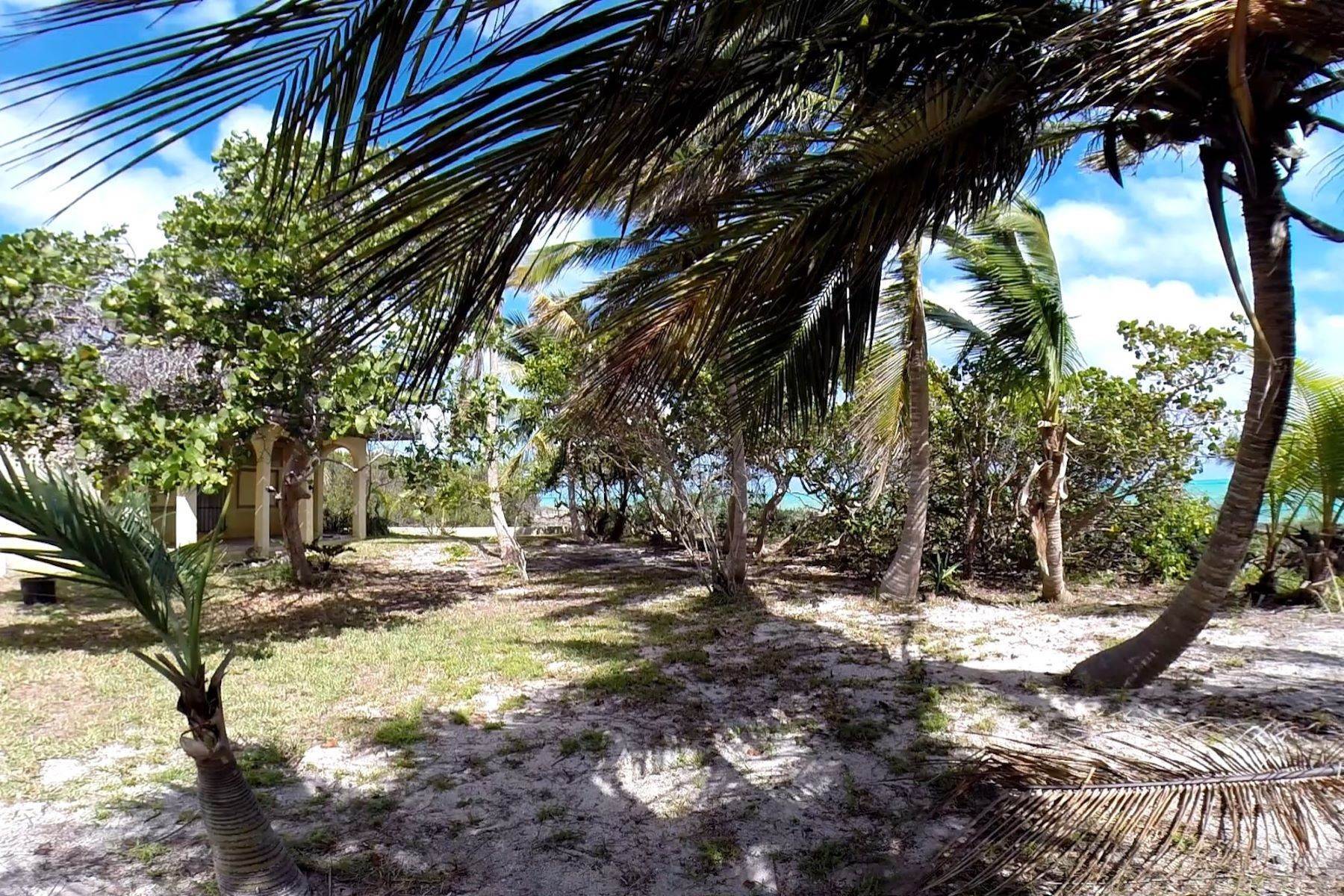 11. Private Islands por un Venta en Swain's Cay, Private Island off Andros Mangrove Cay, Andros, Bahamas