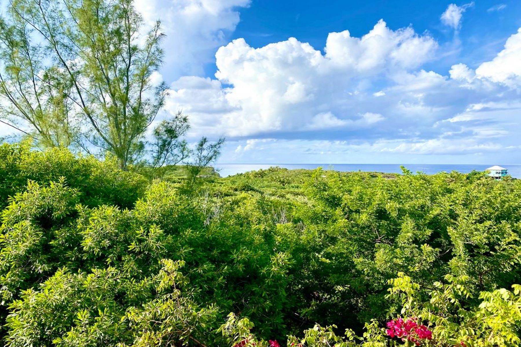 2. Single Family Homes for Sale at La Choza Surf Cottage Eleuthera Island Shores, Gregory Town, Eleuthera, Bahamas