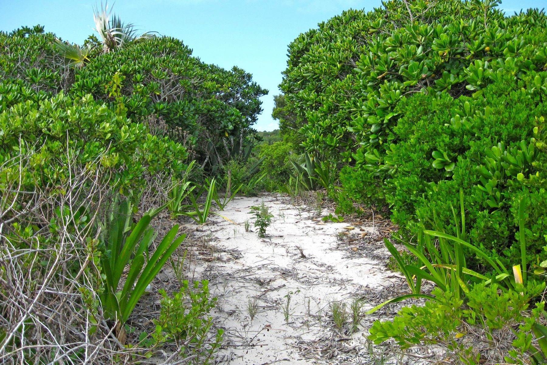 4. Terrain pour l Vente à Tarpum Bay, Eleuthera, Bahamas