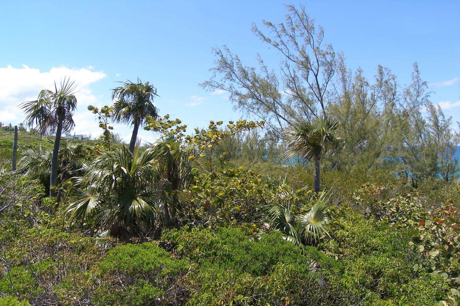 2. Land for Sale at Rainbow Bay, Eleuthera, Bahamas