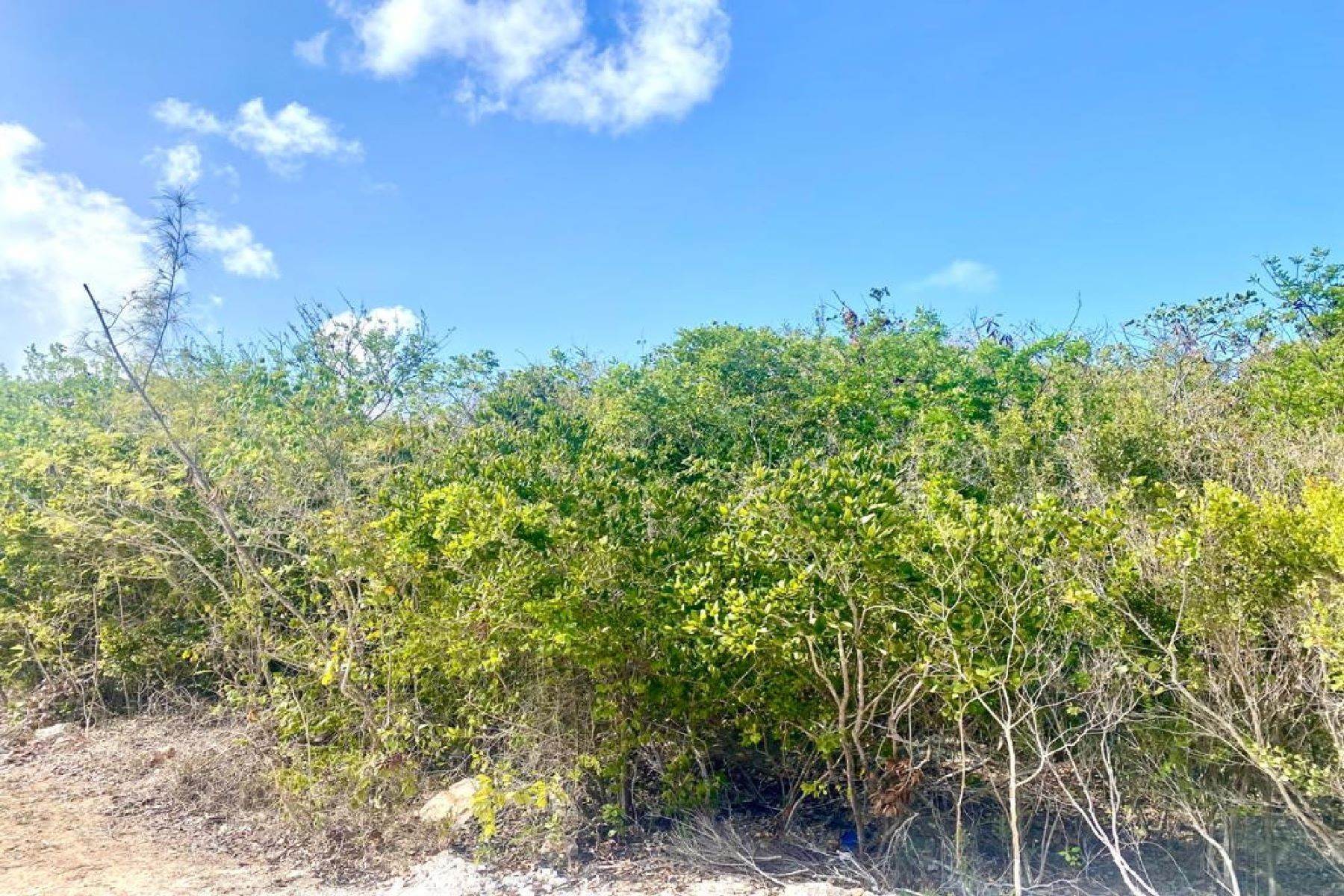 5. Land for Sale at Lot 52, Little Bay Savannah Sound, Eleuthera, Bahamas