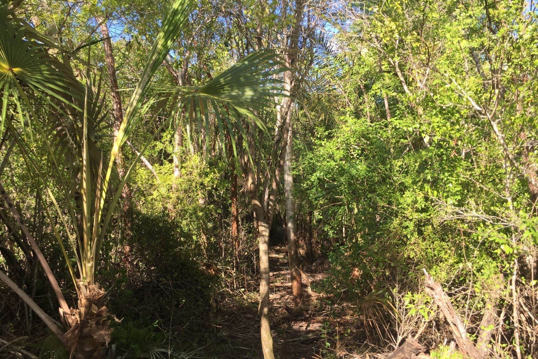9. Land for Sale at North Palmetto Point, Palmetto Point, Eleuthera, Bahamas