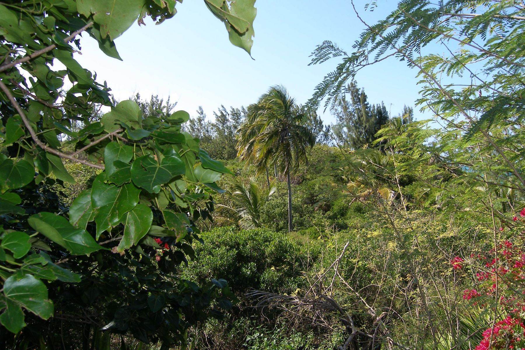 5. Land for Sale at North Palmetto Point, Palmetto Point, Eleuthera, Bahamas