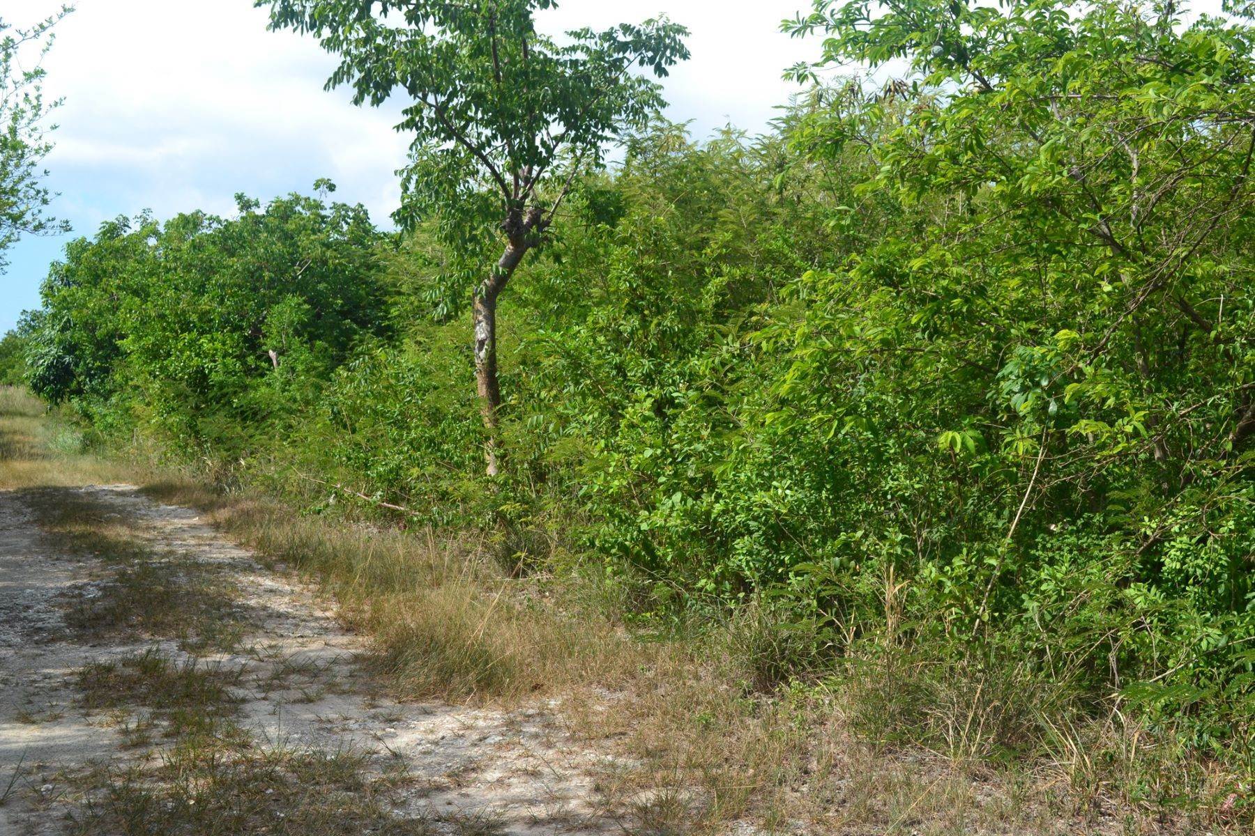 6. Land for Sale at Russell Island Acreage Russell Island, Spanish Wells, Eleuthera, Bahamas