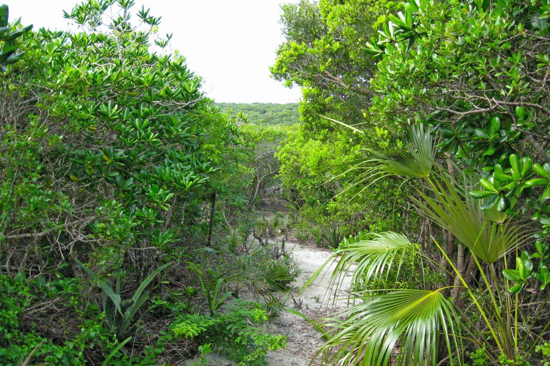12. Terreno por un Venta en Tarpum Bay, Eleuthera, Bahamas
