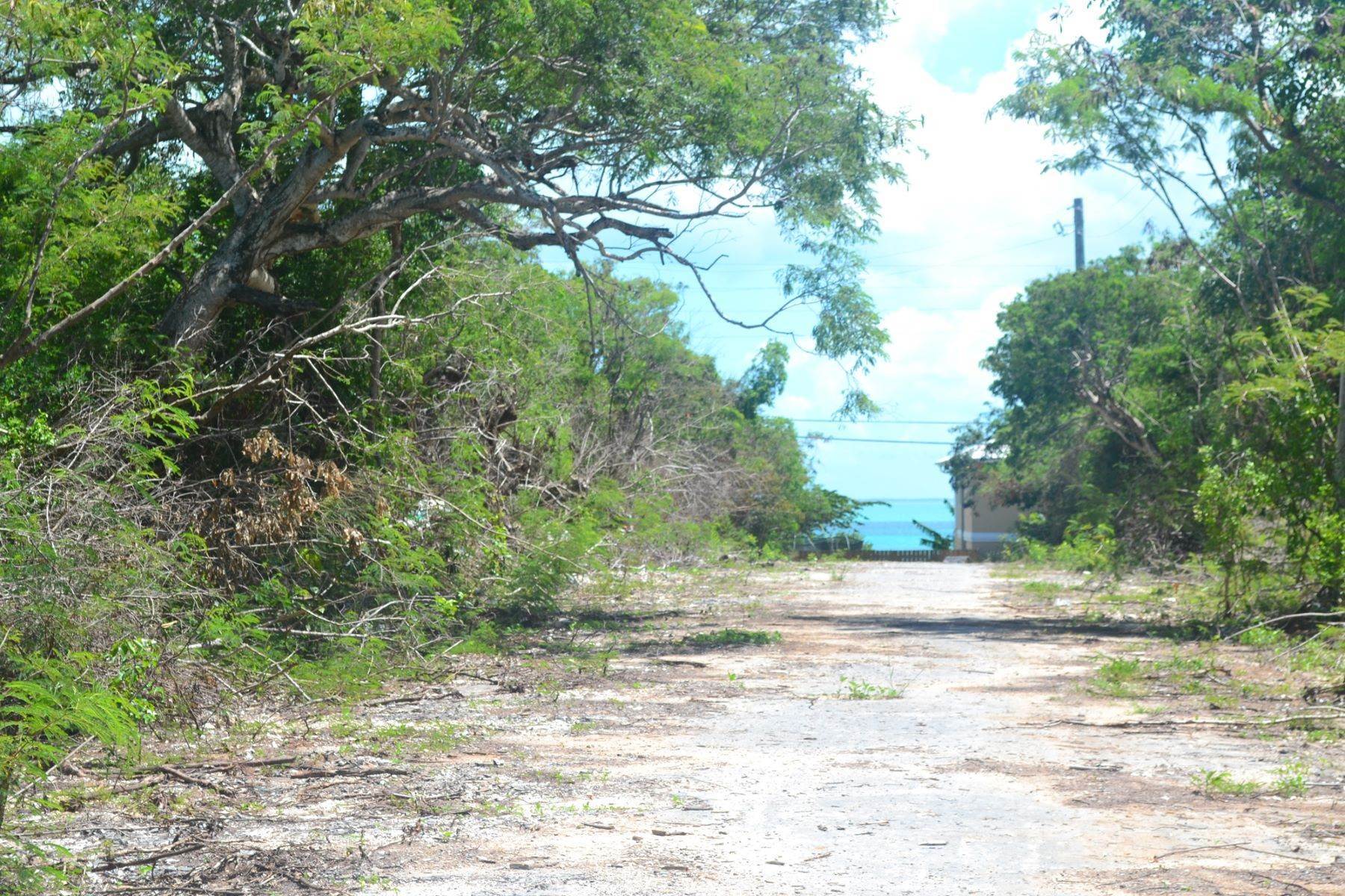 7. Terrain pour l Vente à Lot 42 - Elevated Oceanview Lot Russell Island, Spanish Wells, Eleuthera, Bahamas