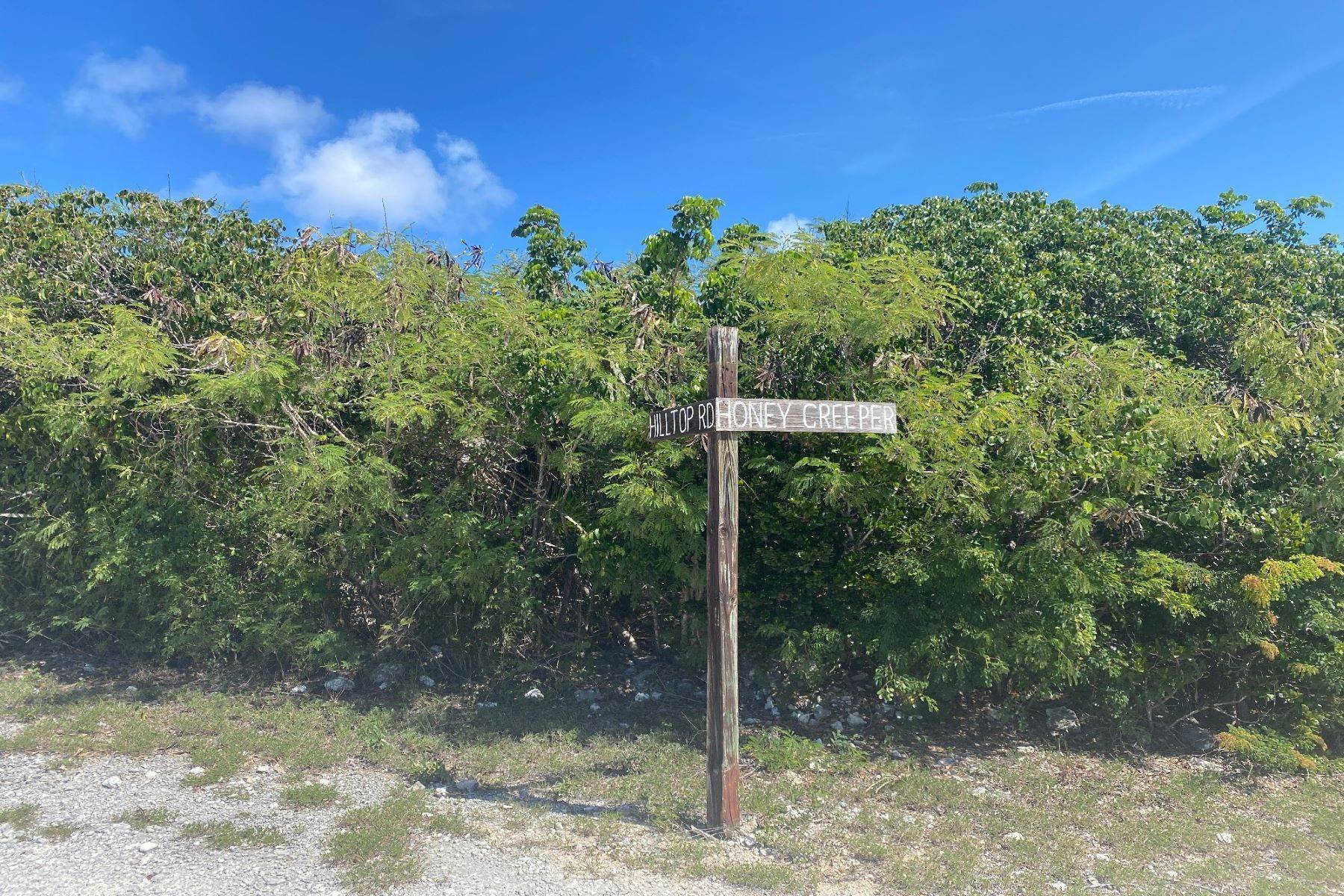 4. Land for Sale at Lot 32, Block 9, Section A Rainbow Bay, Eleuthera, Bahamas