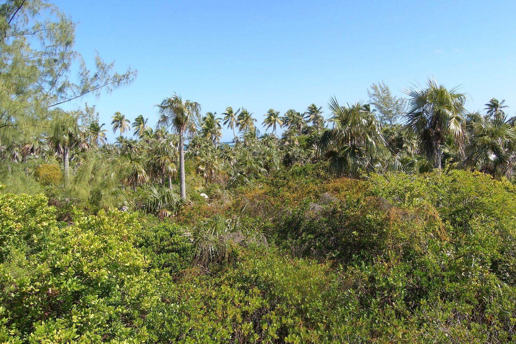 7. Land for Sale at Gorgeous beachfront property Double Bay, Eleuthera, Bahamas