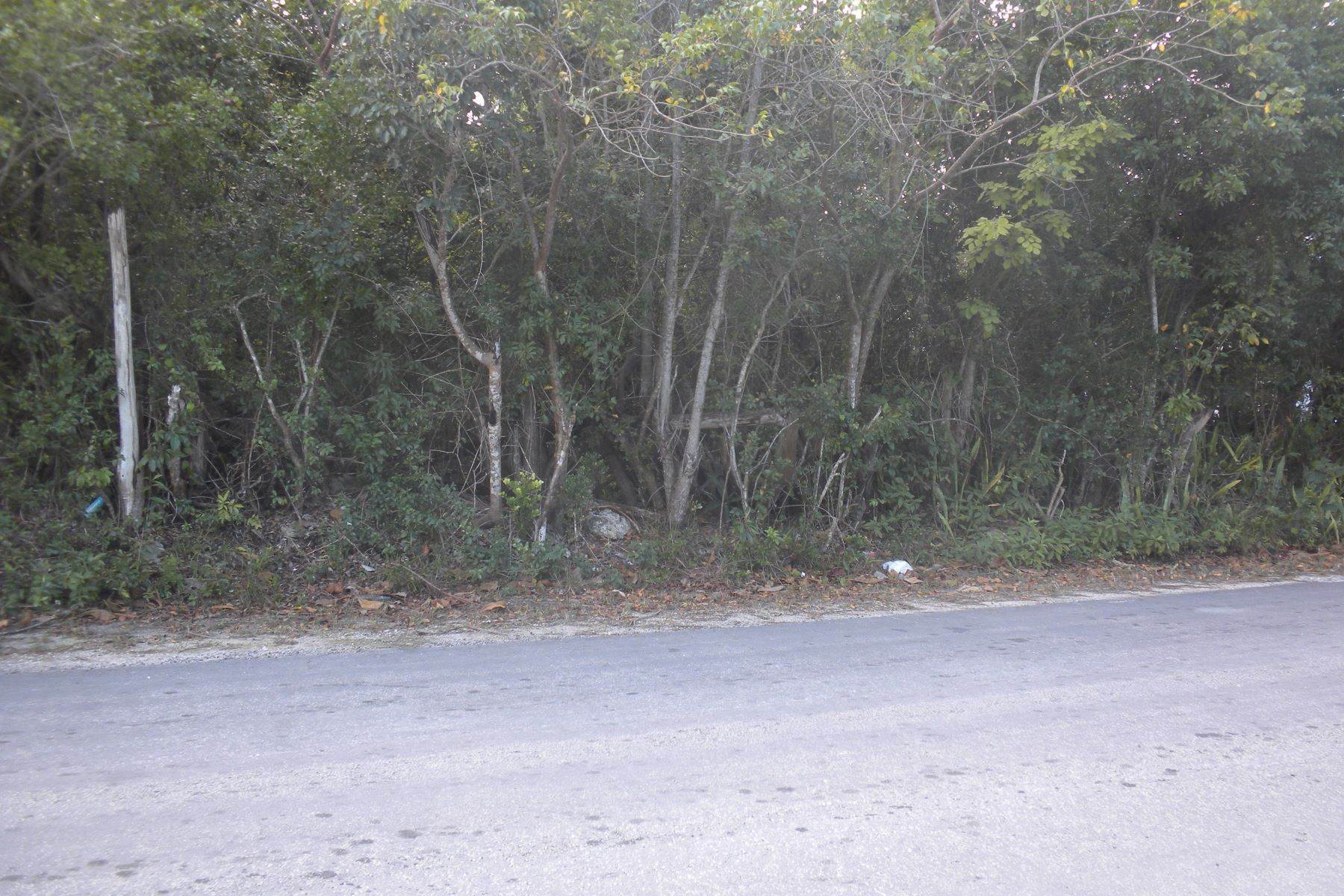 2. Land for Sale at Lot 77, Block 3 Casuarina Beach Estates Treasure Cay, Abaco, Bahamas