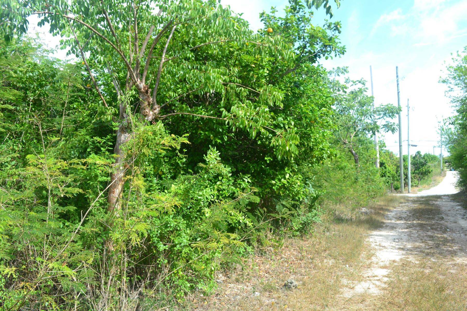 8. 土地,用地 为 销售 在 Russell Island Acreage Russell Island, 西班牙维尔斯, 伊路瑟拉, 巴哈马