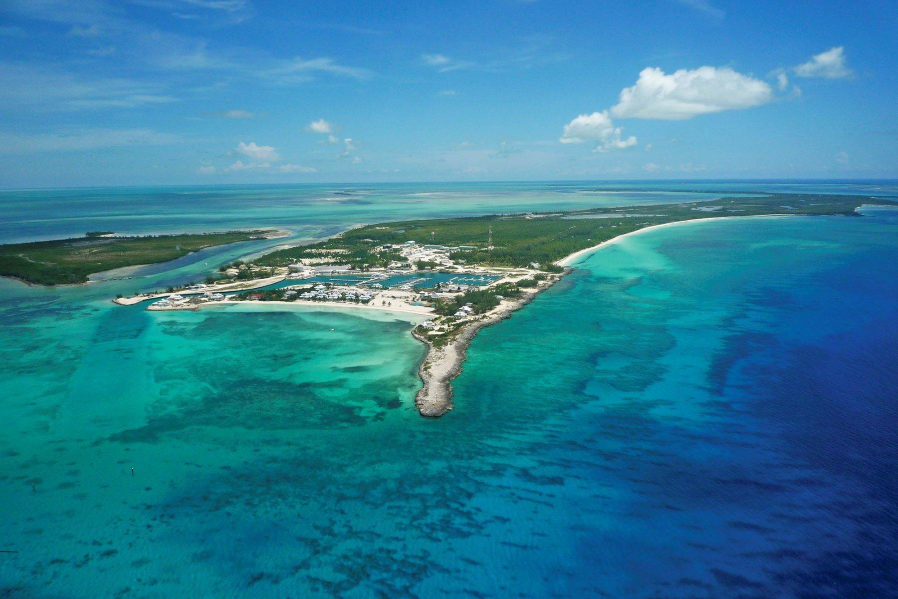 22. 土地,用地 为 销售 在 Chub Cay Elevated Oceanfront Lot 40 Chub Cay, 贝里群岛, 巴哈马