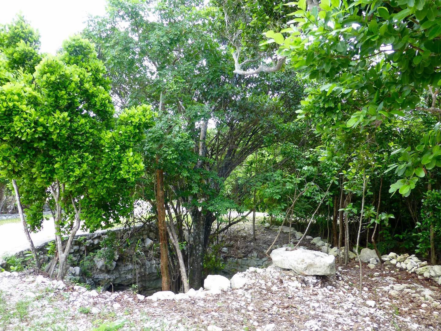 7. Land for Sale at Great Estate-sized Lots Gregory Town, Eleuthera, Bahamas