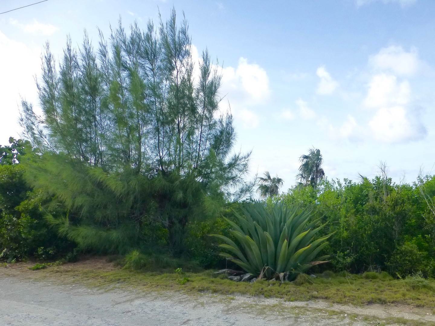 2. Land for Sale at Widespread Views of the Sea Rainbow Bay, Eleuthera, Bahamas