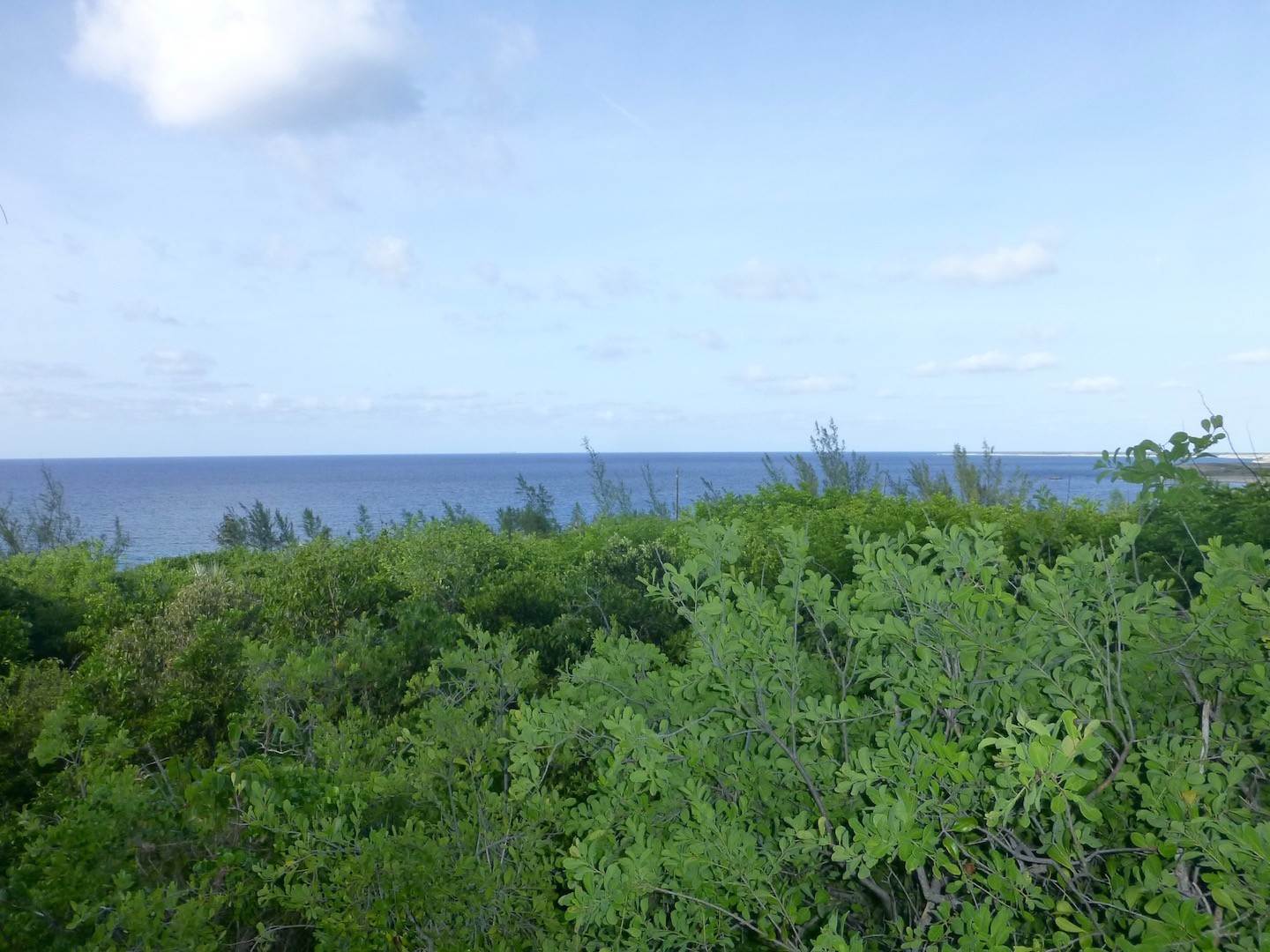 3. Land for Sale at Widespread Views of the Sea Rainbow Bay, Eleuthera, Bahamas