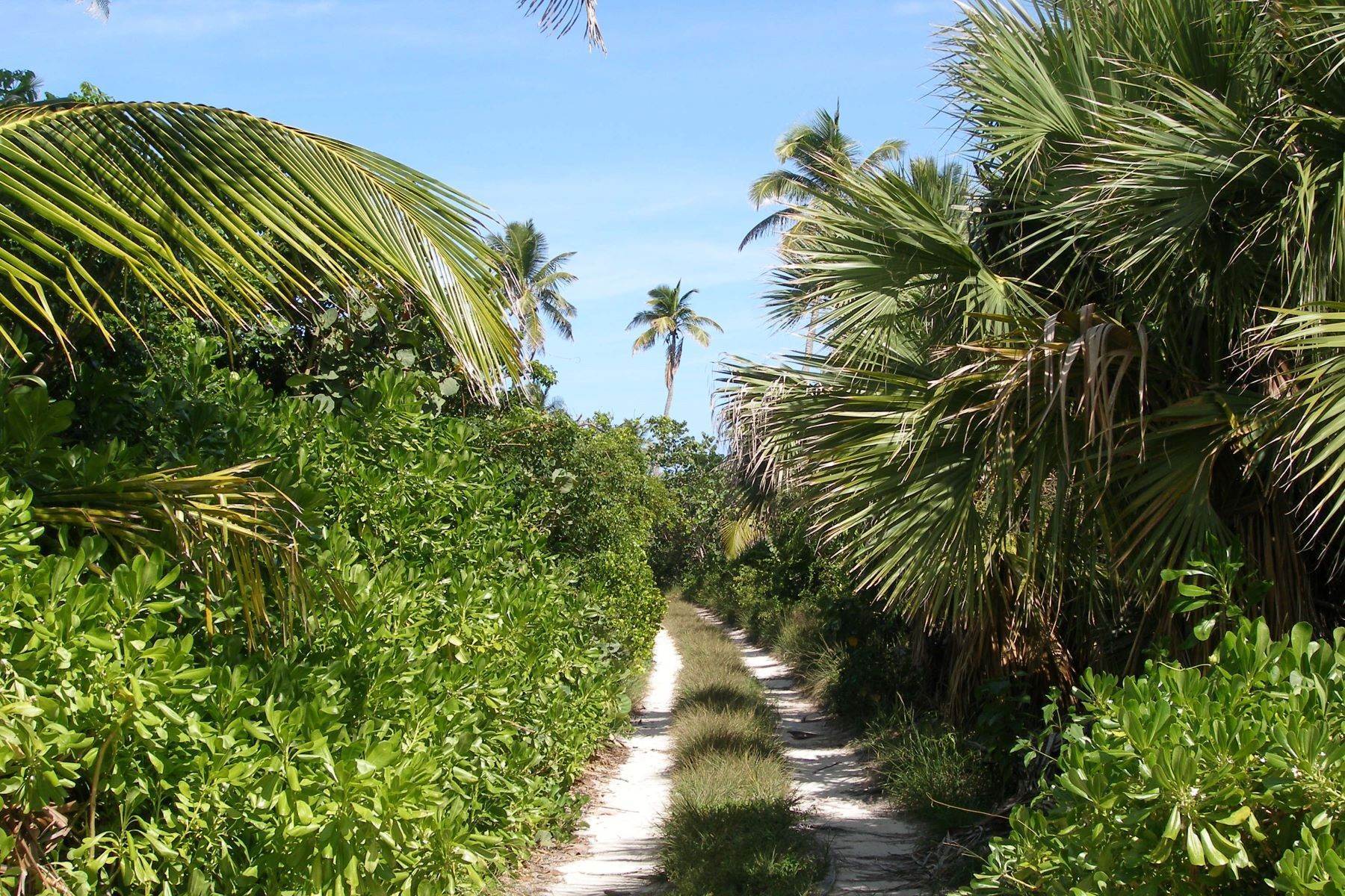 10. Terrain pour l Vente à Nature Lover’s Paradise North Palmetto Point, Palmetto Point, Eleuthera, Bahamas