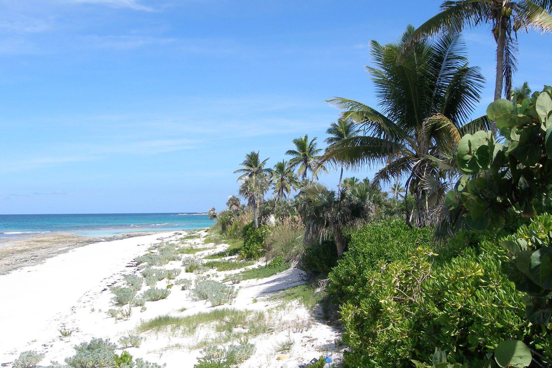 12. Terrain pour l Vente à Nature Lover’s Paradise North Palmetto Point, Palmetto Point, Eleuthera, Bahamas