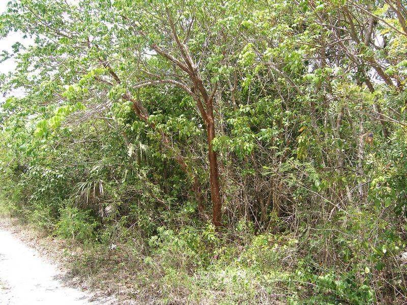 7. Land for Sale at Eleuthera Island Shores Lot Eleuthera Island Shores, Gregory Town, Eleuthera, Bahamas